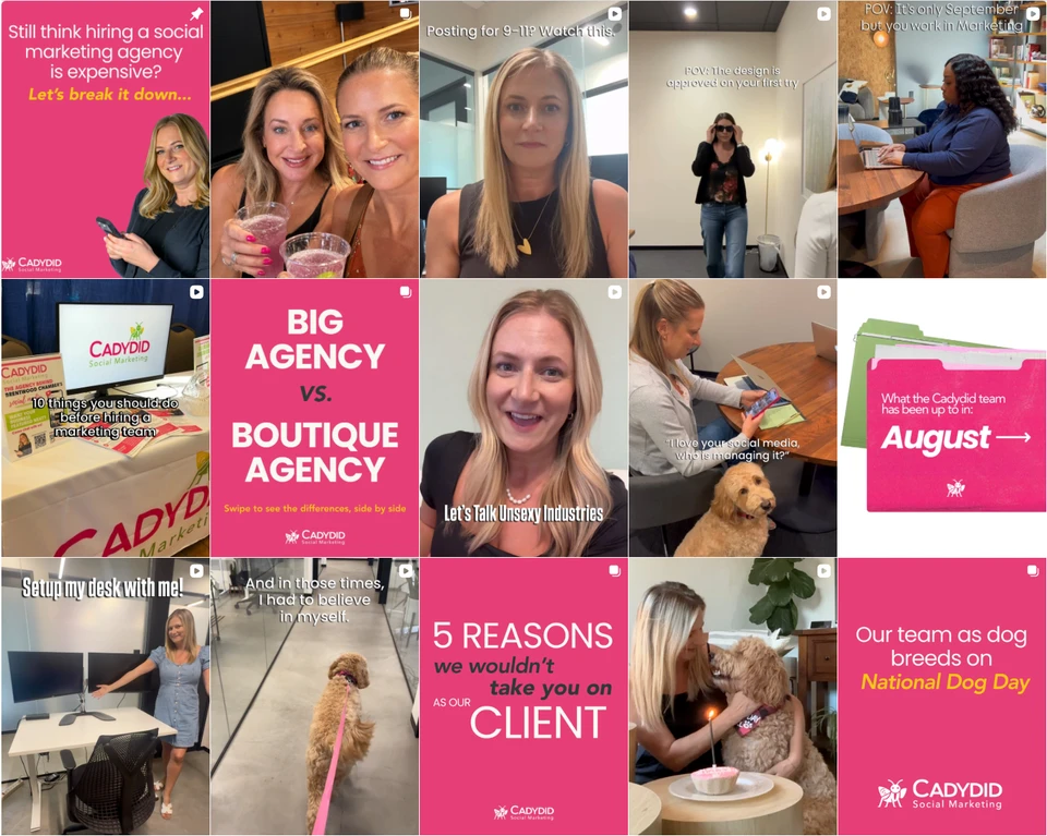 A collage of Cadydid Instagram posts featuring the pink and green brand identity, the team, client work, and daily life.