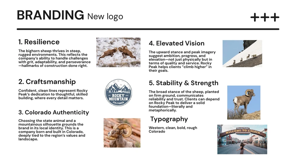 Strategy / The attributes behind the direction.