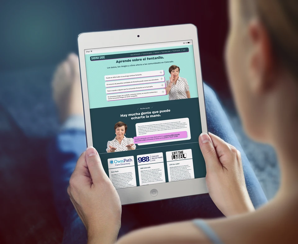 Website / Extending the campaign into a resource.