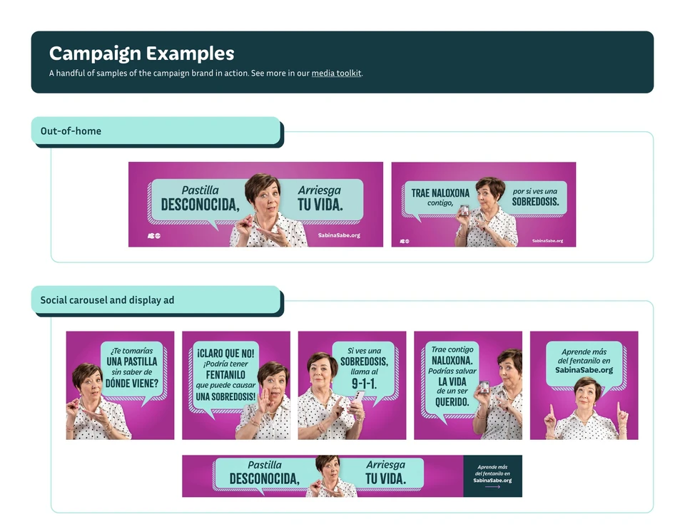Campaign applications / Outdoor and social examples.